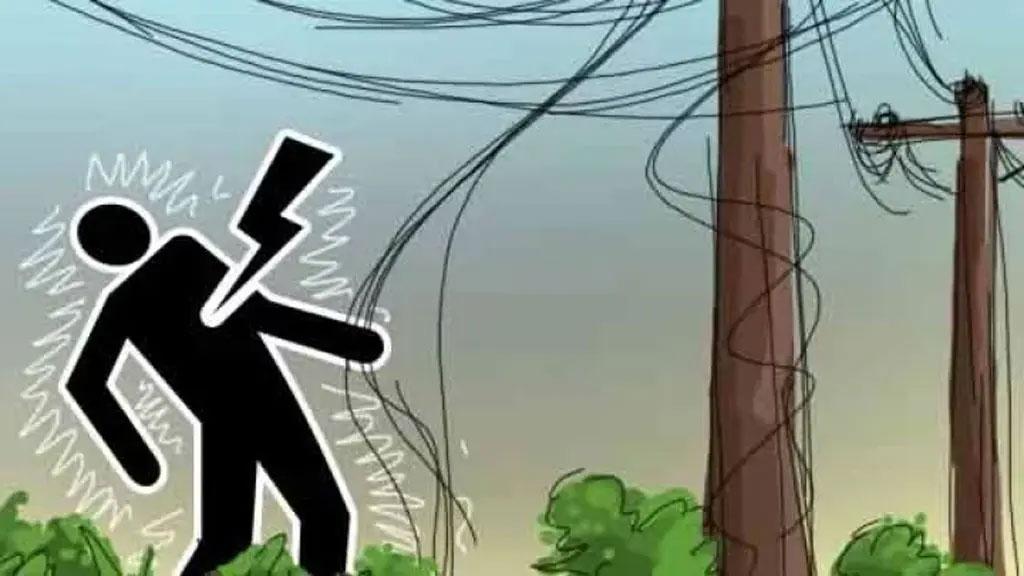 মাগুরায় বিদ্যুতায়িত হয়ে মা ও শিশুর মৃত্যু