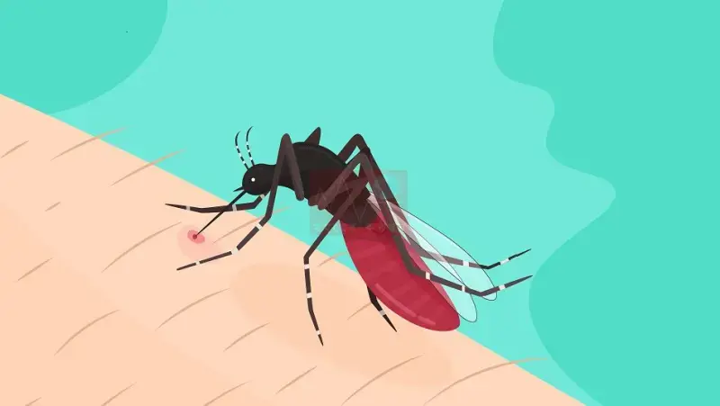 ডেঙ্গুতে একদিনে সর্বোচ্চ ১২ জনের মৃত্যু, নতুন ভর্তি ৭৪০